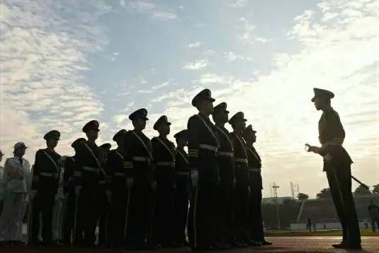 国旗护卫队所属兵种解析，国旗护卫队所属兵种深度解析
