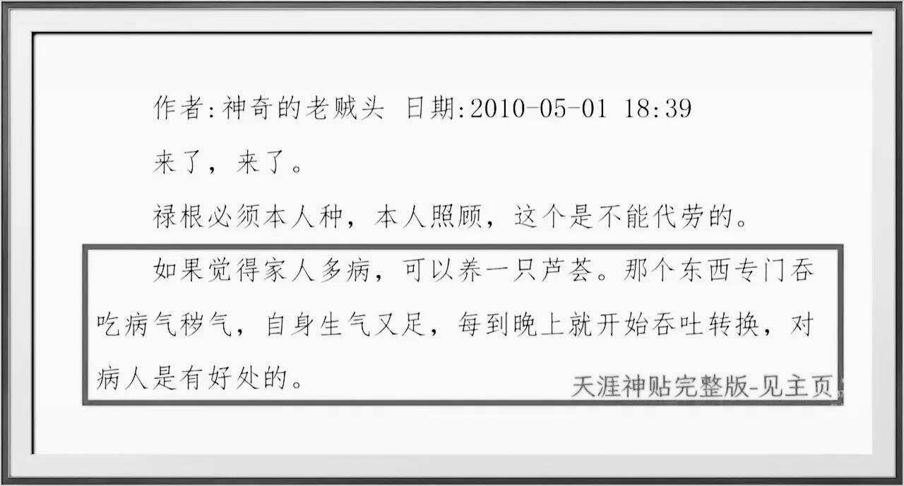 天涯论坛最惊人的十大神贴玄学，天涯论坛十大神贴玄学揭秘，神秘玄妙引人深思的十大热门神贴解析