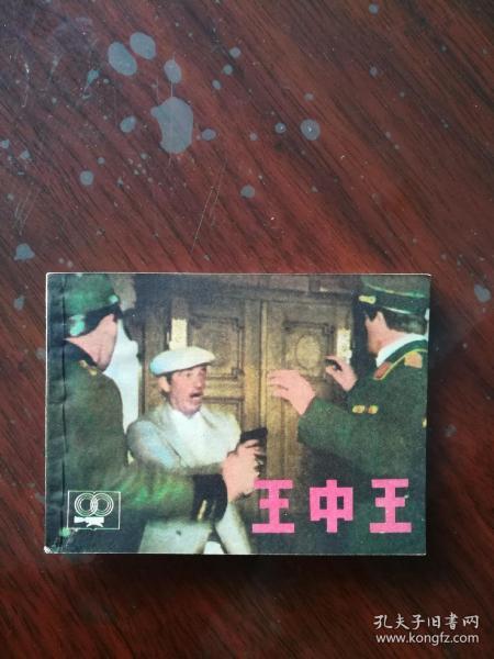 王中王平特一肖妃子，宫廷风云与传奇人生，宫廷风云传奇，王中王平特一肖妃子的一生