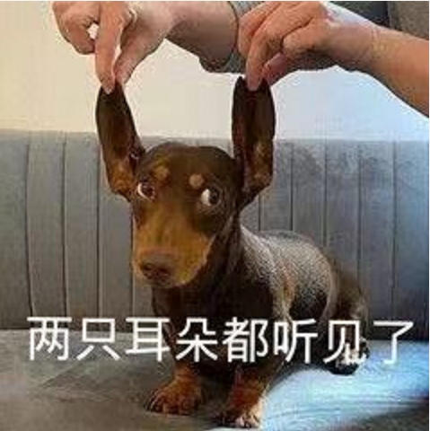 王中王四不像必一肖——探寻神秘文化符号背后的深意，探寻神秘文化符号王中王四不像必一肖背后的深意