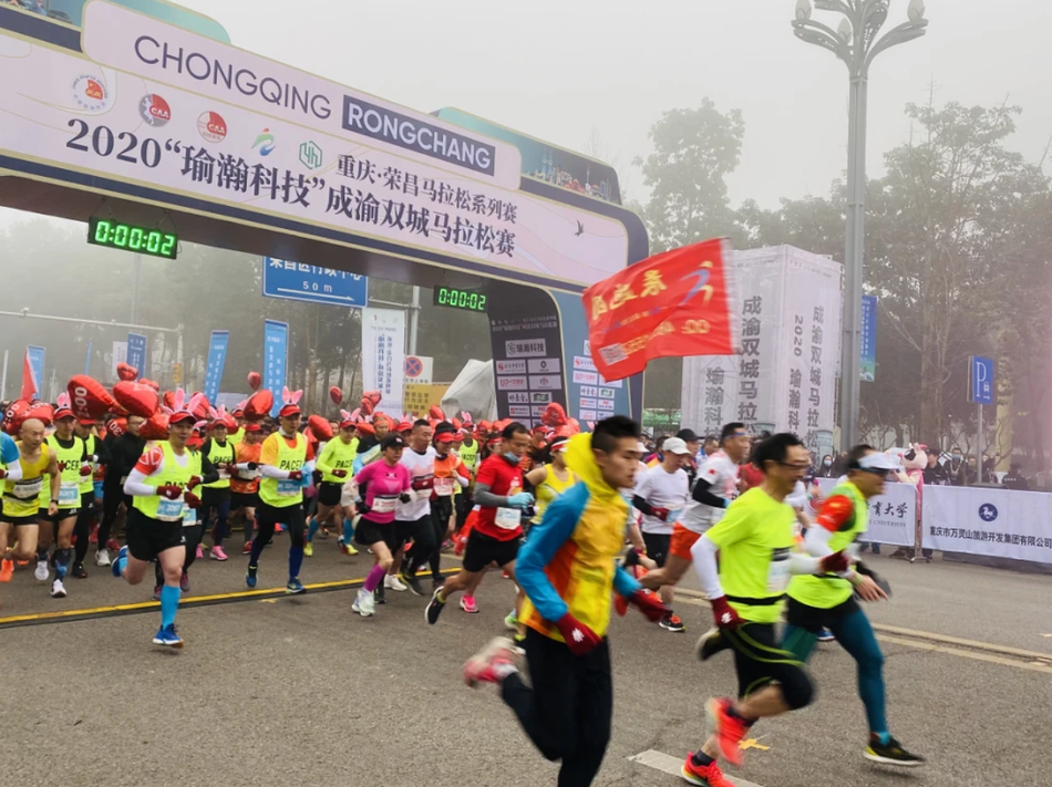 澳门正版免费秋季资料大全与旅游团探索之旅，澳门秋季资料大全与旅游团探索之旅