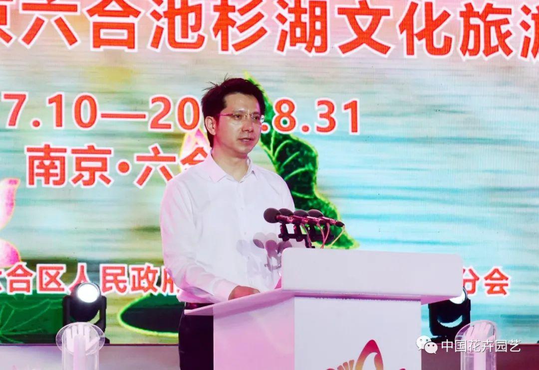 澳门六和开奖结果揭秘，今日幸运数字的奥秘，澳门六和开奖结果揭晓与今日幸运数字探秘