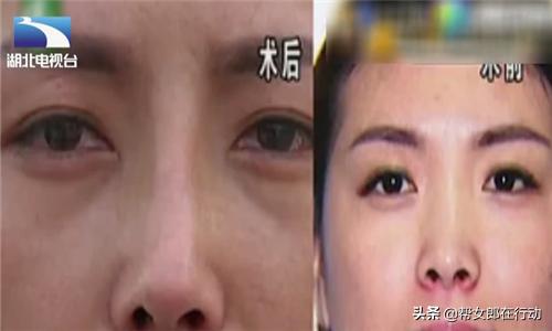 一肖赔多少倍，深度解析彩票赔率与彩票玩法，深度解析彩票玩法，一肖赔多少倍揭秘赔率机制！