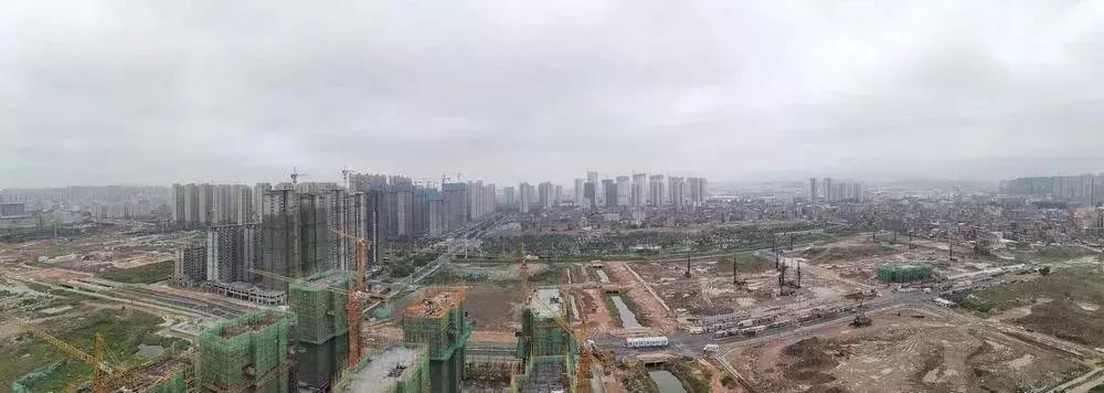 福建泉州案，深度解析事件背景与影响，福建泉州案深度剖析，事件背景与影响探析