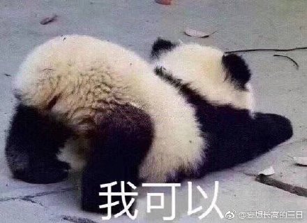 探索与解析 第5页