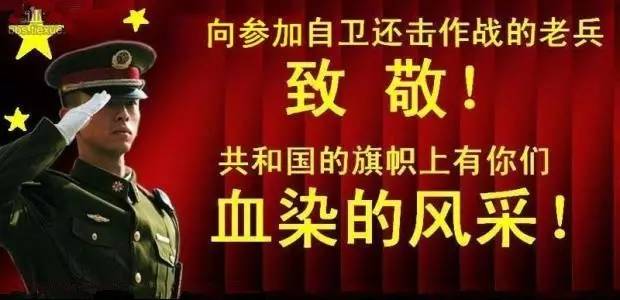 最新部队代号一览表，深度解析与战略洞察，最新部队代号概览，深度解析与战略洞察