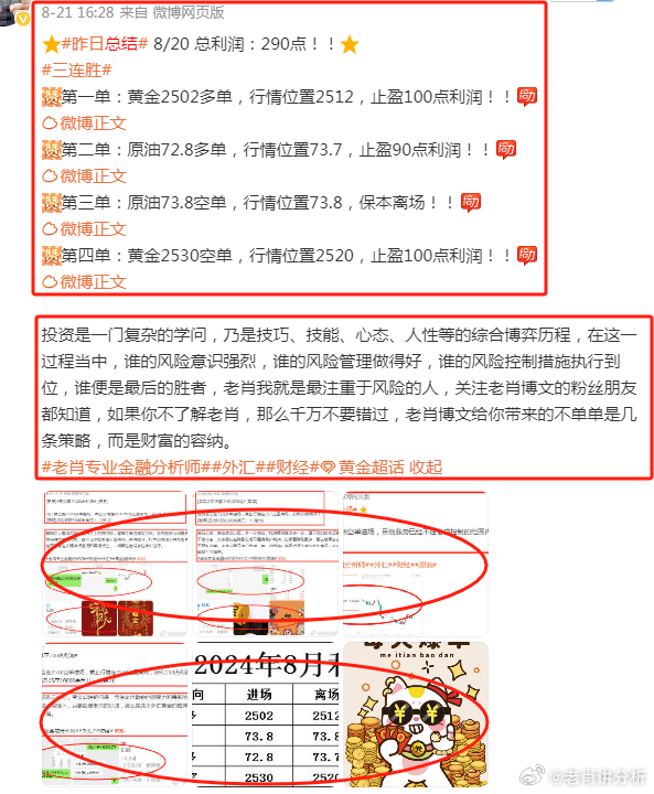 香港王中王最准的一肖——探寻命理之奥秘，香港王中王最准生肖揭秘，命理奥秘探寻