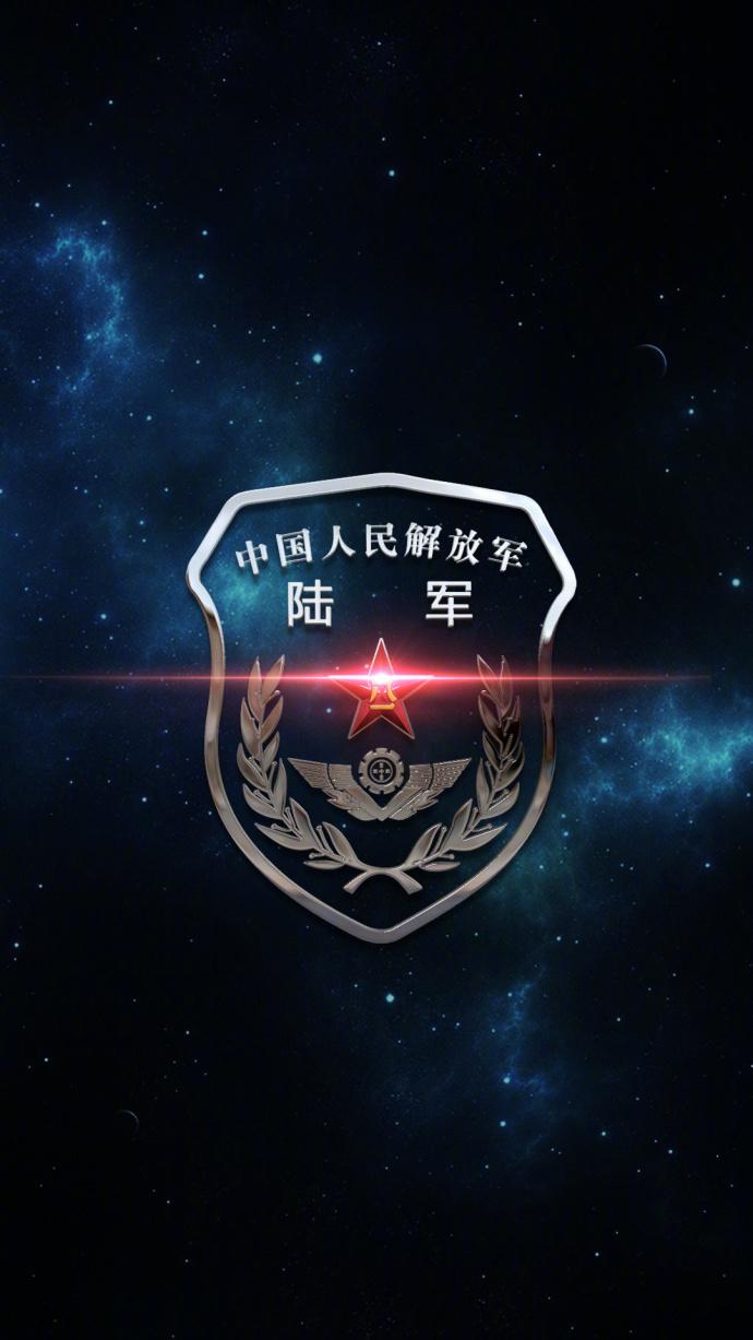 中国解放军军种概览，中国解放军军种全面概览