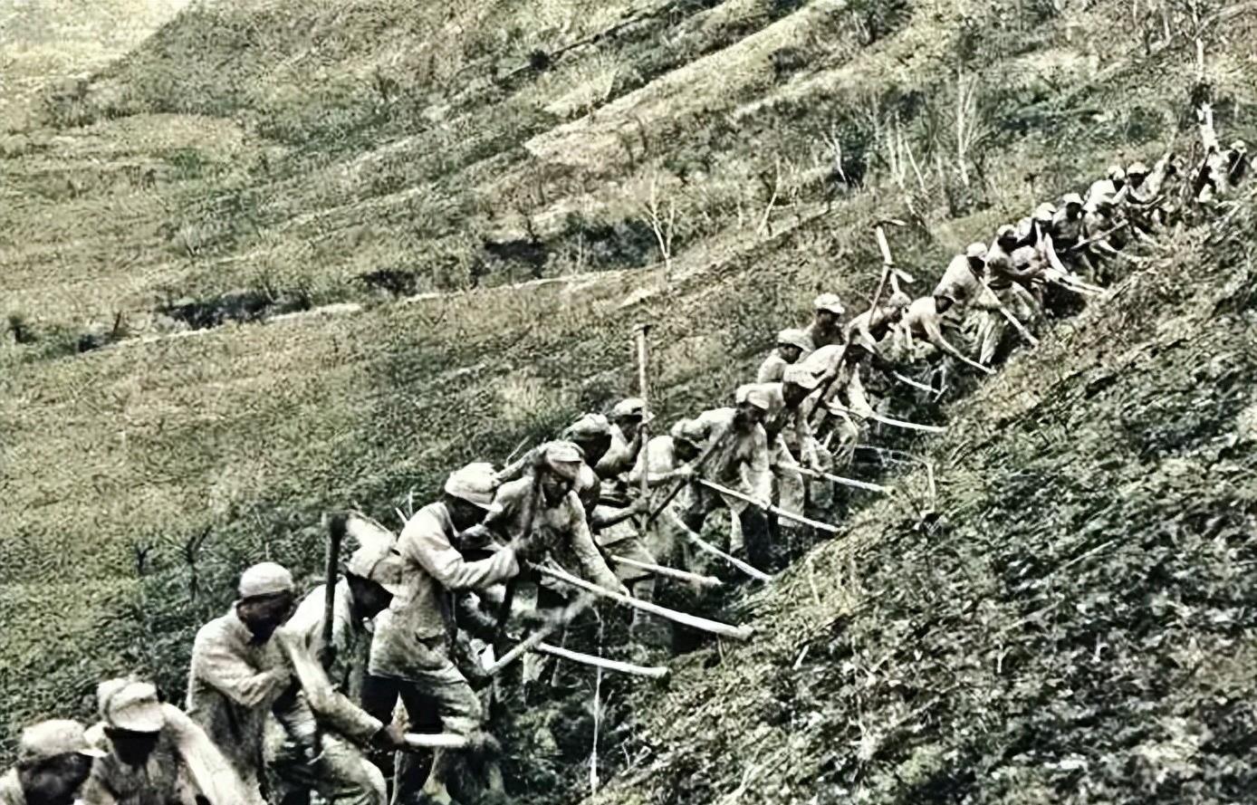 女兵的种类及其角色概述，女兵的种类与角色概览