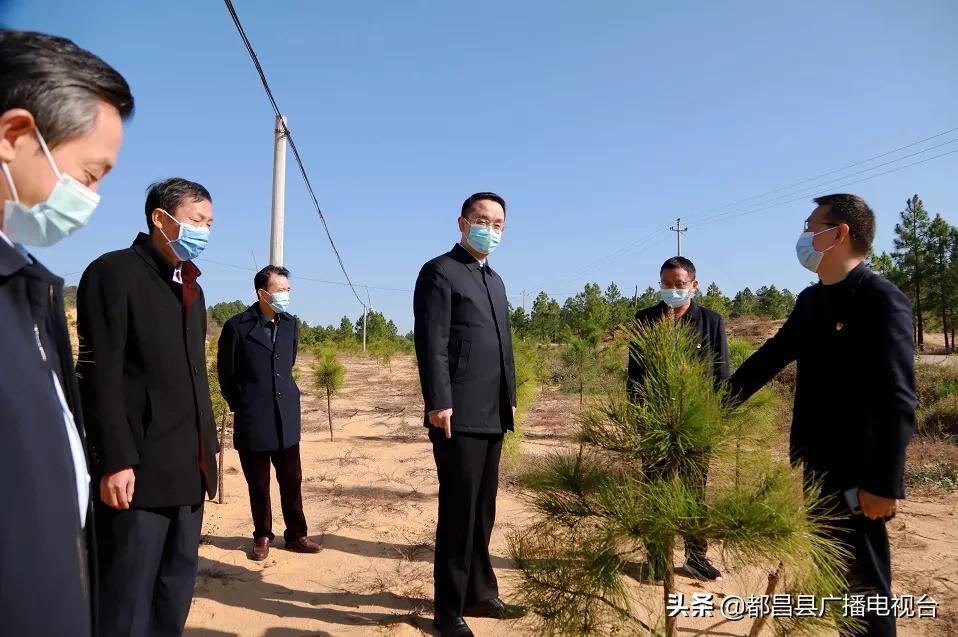江西舰，探寻中国海军新力量的百科名片，江西舰，中国海军新力量的百科名片探索