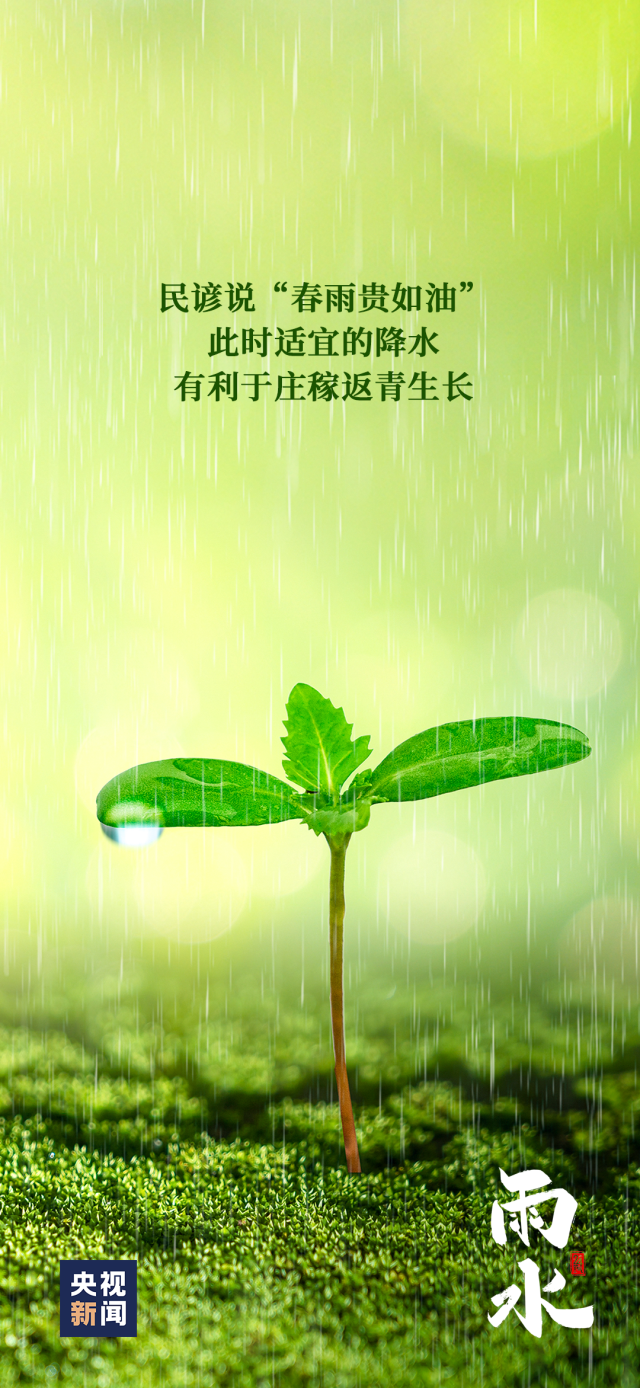 自然之美独特展现