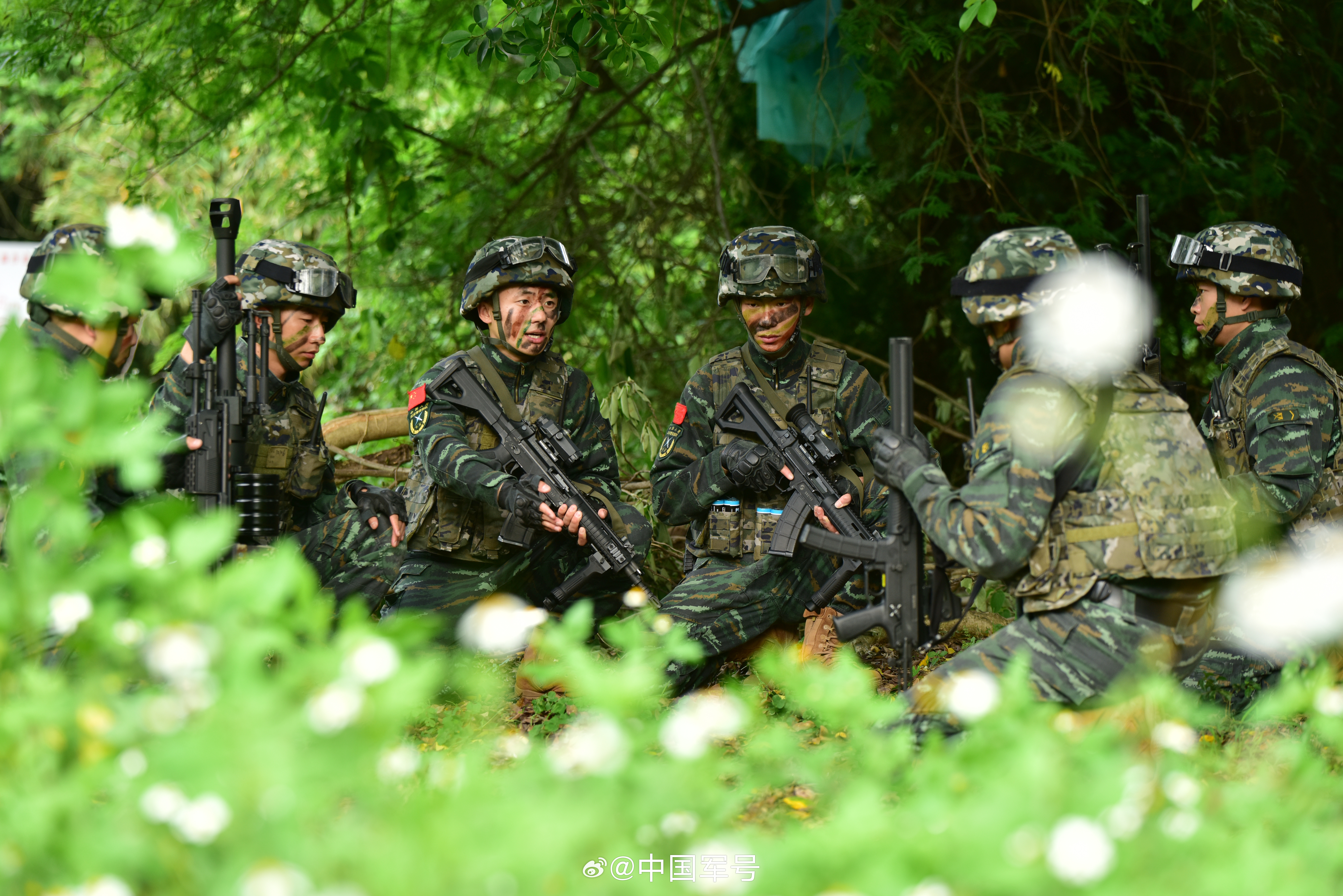 丛林虎特战旅，铁血与荣耀的象征，丛林虎特战旅，铁血荣耀的象征