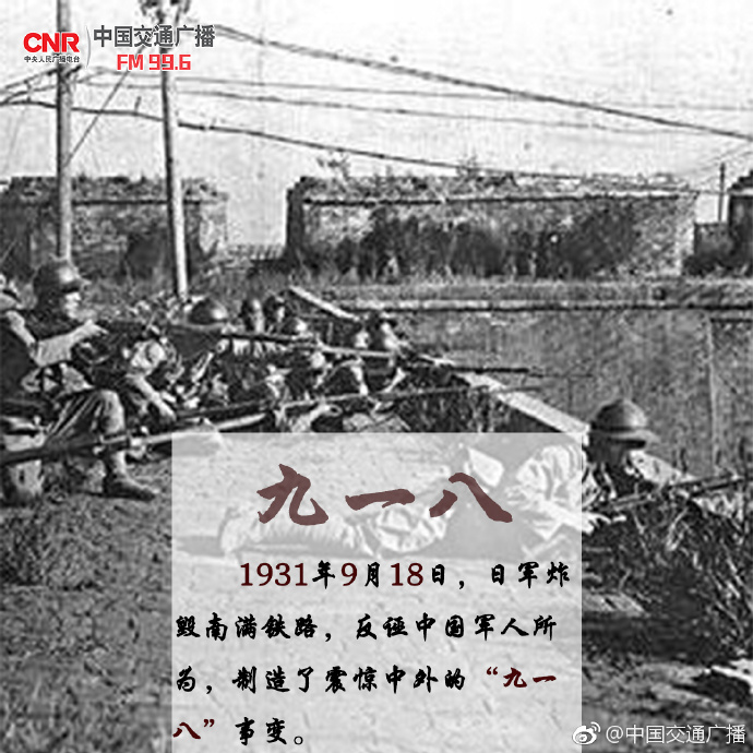 关于九八一事变的视频回顾与思考，九八一事变，历史回顾与深度思考