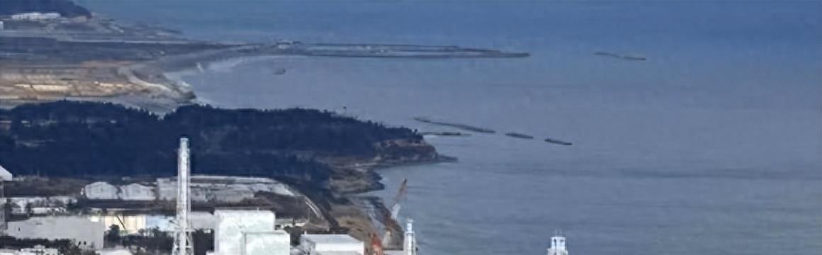 概述/简介