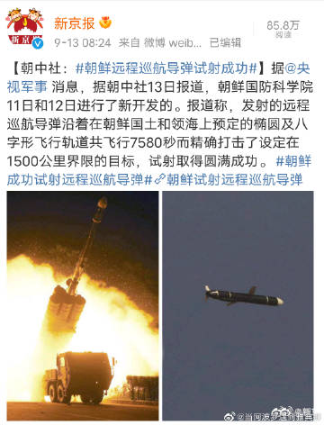 朝鲜最新武器，揭示技术进步的神秘面纱，朝鲜最新武器揭秘，技术进步背后的神秘面纱