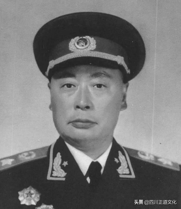 豆瓣热议，十大元帅中谁打仗最厉害？历史解读与深度剖析，豆瓣热议，深度解读并剖析十大元帅中的战争大师，谁最厉害？