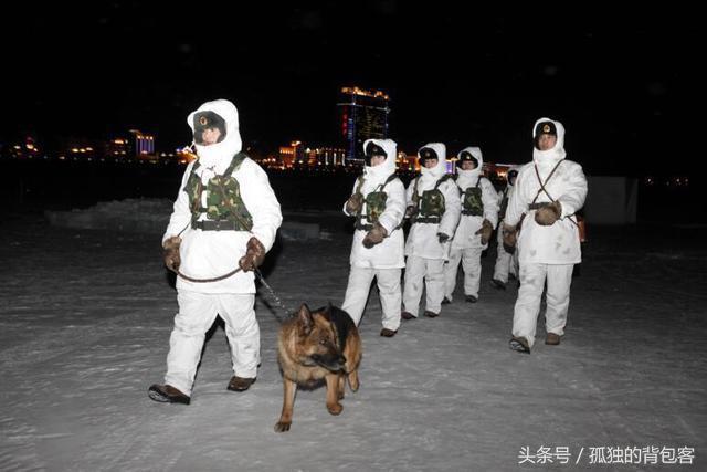 中国女兵站岗图片，展现力量与荣耀的时代画卷，中国女兵站岗风采，力量与荣耀的时代画卷展示