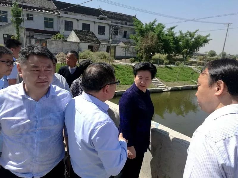 泰州黄桥今天特大新闻，历史与现代的交汇点，新的辉煌篇章正在书写，泰州黄桥，历史与现代交汇，新辉煌篇章揭幕今日特大新闻