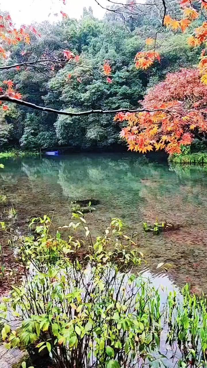 美不胜收的意思，探索美的无尽魅力，美不胜收，探索美的无尽魅力与震撼