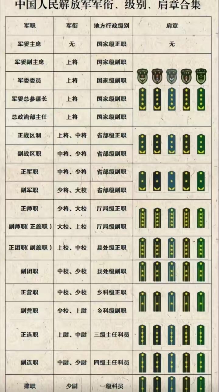 现有上将名单简历及深度解析，上将名单简历深度解析与简介