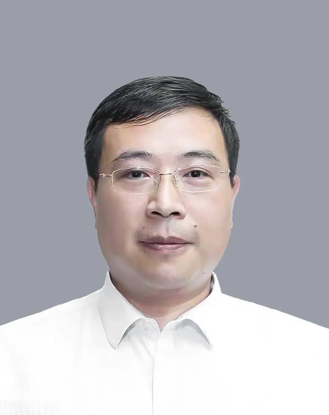 论坛软件，连接思想，构建社区的力量，论坛软件，连接思想，构建社区的力量之所在