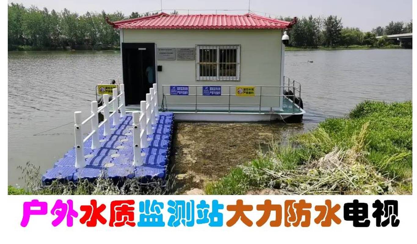 王中王选一肖中特，探寻幸运之道的独特策略，王中王选一肖中特，探寻幸运之道的独特策略揭秘