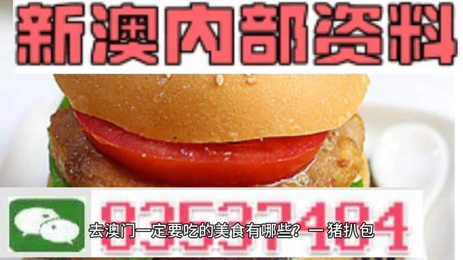 新门内部资料精准大全，深度解析与探索，新门内部资料深度解析与探索秘籍大全