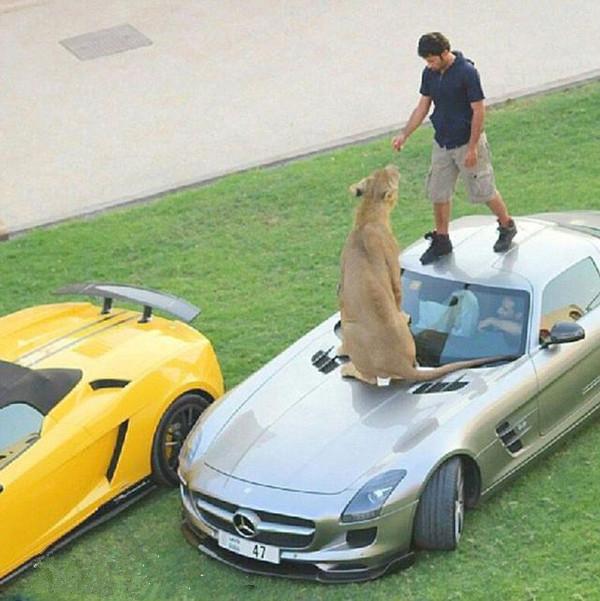 猎鹰700无人机，引领无人机技术的革新与发展，猎鹰700无人机，引领无人机技术革新与发展浪潮