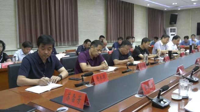 现任央视四套女主持人——璀璨星辰下的新闻领航者，央视璀璨星辰，新闻领航者——四套女主持人风采展