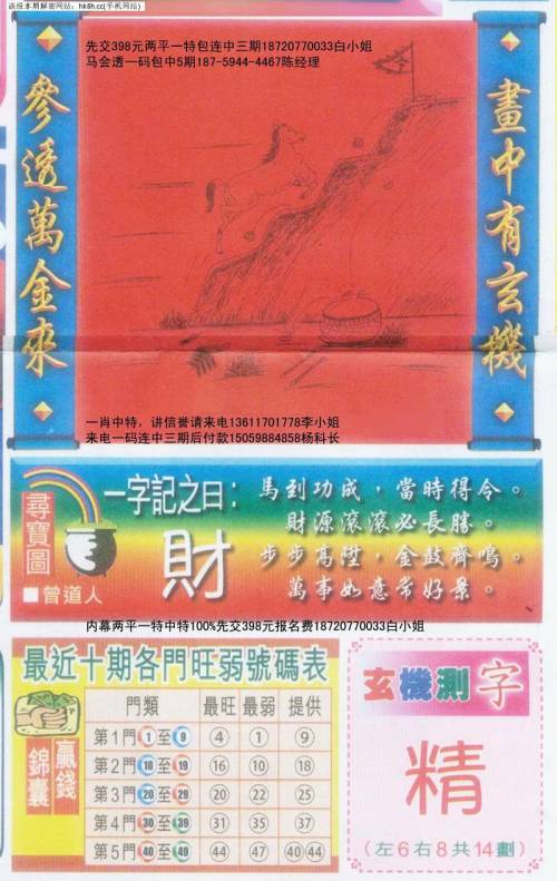 王中王一肖，看图找生肖的智慧与乐趣，王中王一肖，生肖智慧与乐趣的探寻之旅