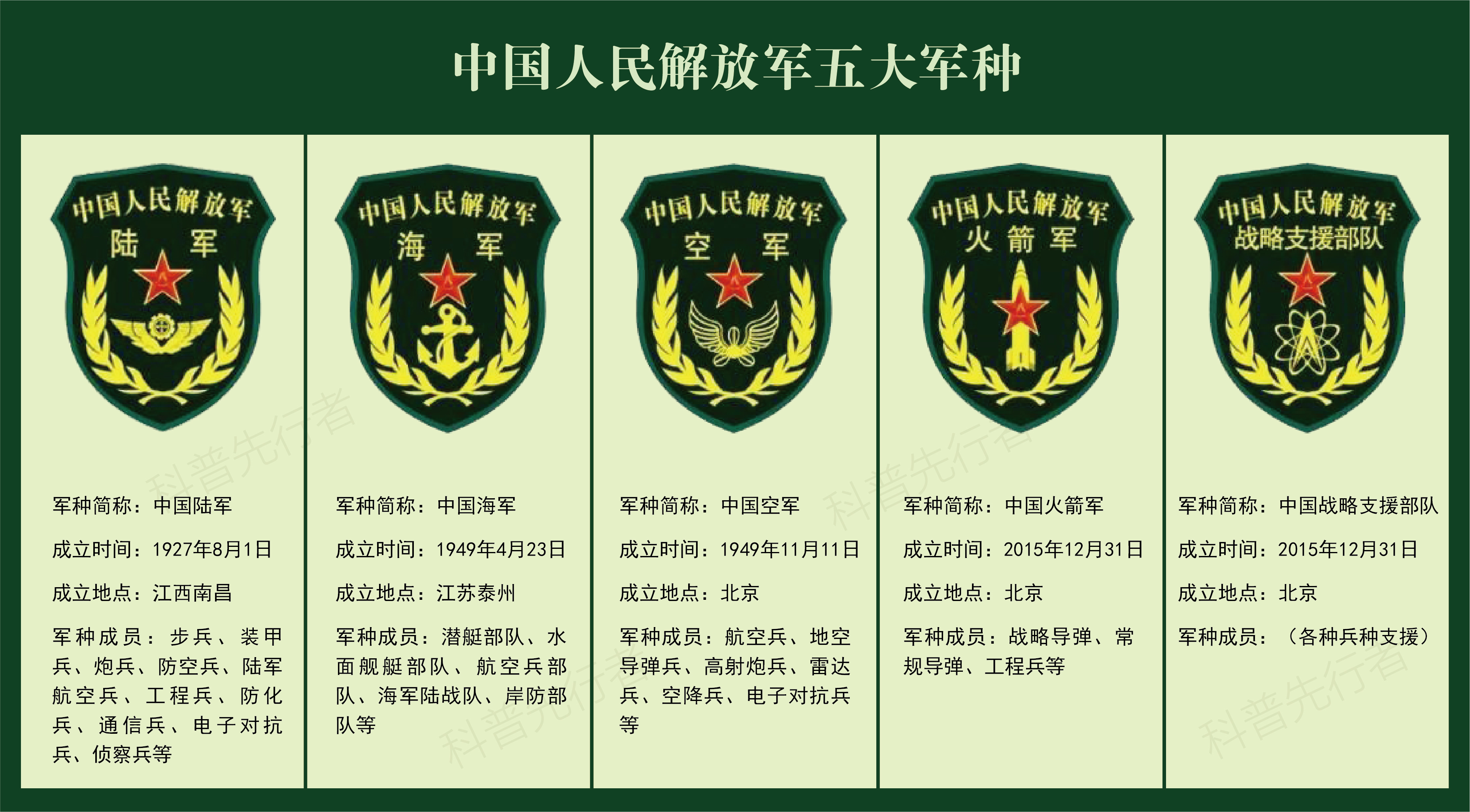 中国人民解放军军种图片，展现中国力量的多彩画卷，中国人民解放军军种图片，中国力量的壮丽画卷
