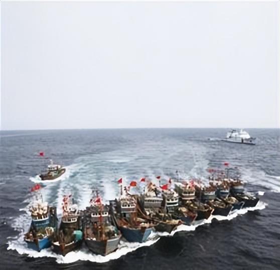 韩国海警，守护海洋安全的重要力量，韩国海警，海洋安全的重要守护者