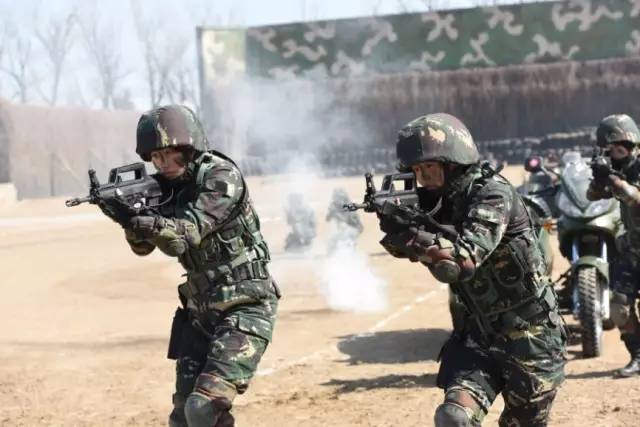中国女特种兵照片大全，展现飒爽英姿的力量之源，中国女特种兵照片集，飒爽英姿的力量之源展示