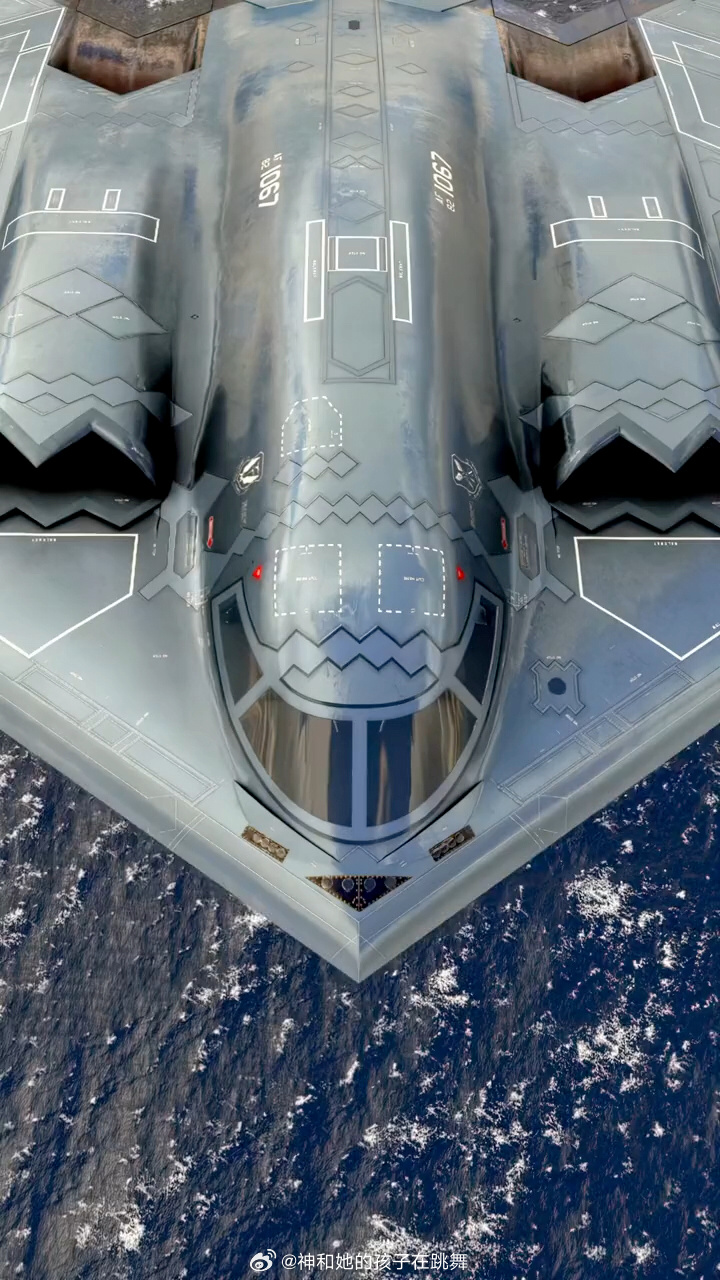 B-2轰炸机设计灵感之源，揭秘B-2轰炸机设计灵感之源