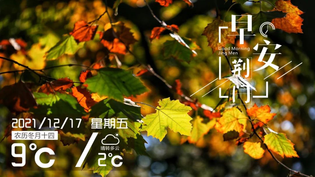 今日之季节，探寻四季的魅力，探寻四季魅力，今日季节之美
