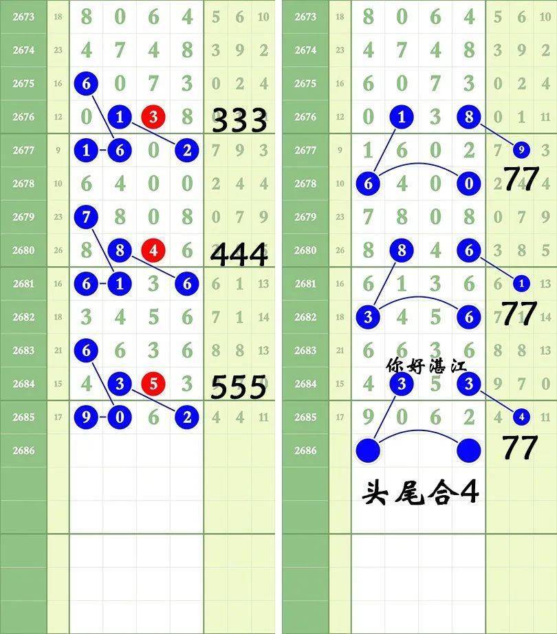 一肖三码绝密与王中王的传奇故事，一肖三码绝密与王中王传奇之旅