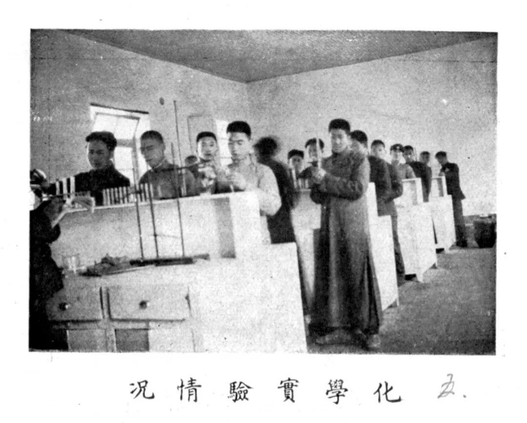 英才培养