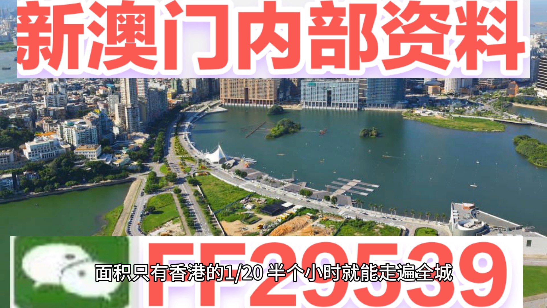 新澳门今晚开奖结果及开奖分析，澳门今晚开奖结果及深度分析