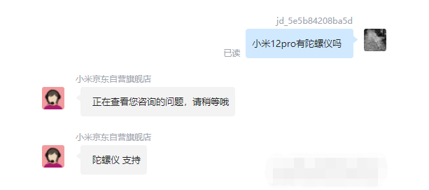 王中王一肖平码，探索与解析，王中王一肖平码，深度探索与解析