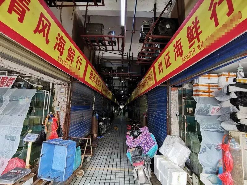 华南海鲜市场老板背景深度解析，强大的商业力量，华南海鲜市场老板背景深度解析，商业力量的崛起与影响