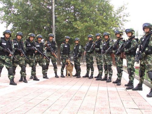 中国人民武装警察部队学院的前身，历史沿革与使命担当，中国人民武装警察部队学院，历史沿革、前身探究与使命担当