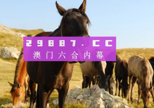 澳门管家婆与肖一码，独特的视角与精准的判断力，澳门管家婆与肖一码，独特视角与精准判断力的揭秘
