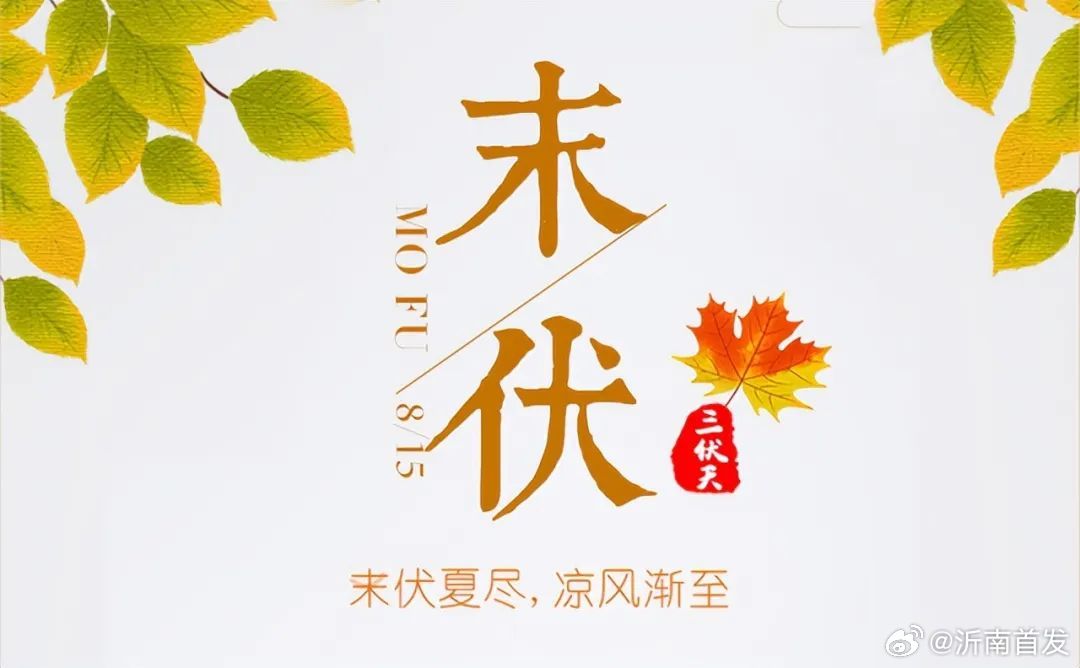 末伏来临，今日是否已至末伏？关于末伏的种种解读与体验，今日末伏来临，深度解读与体验末伏的种种细节