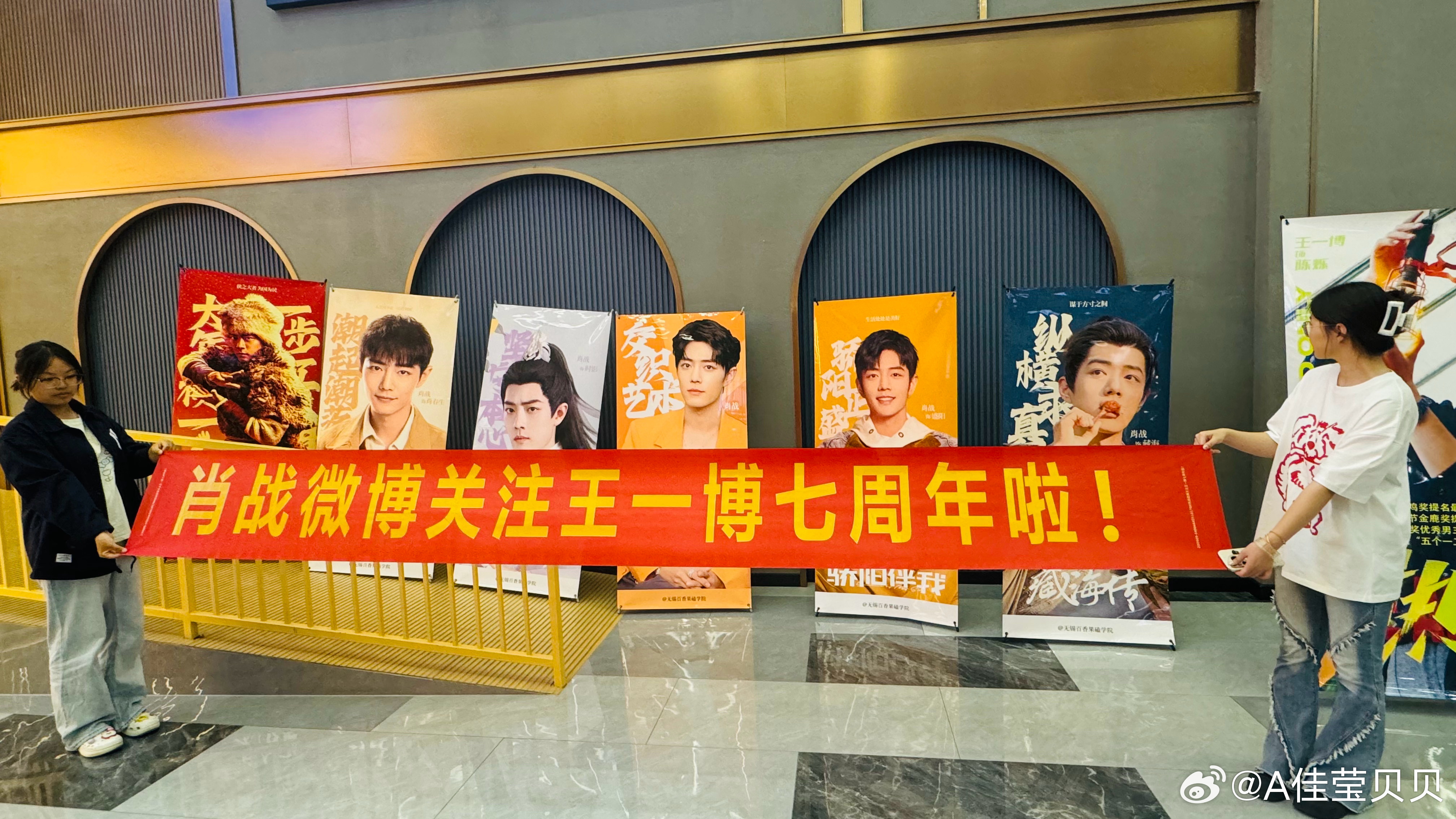 王中王资料一肖图片，探寻背后的故事与神秘面纱，揭秘王中王资料一肖图片背后的故事与神秘面纱