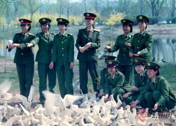 最新部队女军装，时尚与力量的完美结合，最新部队女军装，时尚与力量的绝美融合