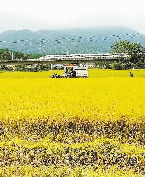 湖南最近的新闻大事10条，湖南新闻热点综述，十大最新要闻标题汇总
