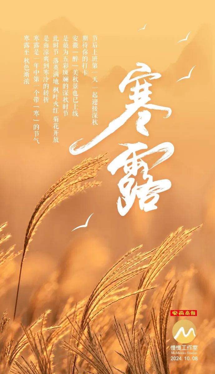 CCTV7与寒露，传统与现代的交融，CCTV7寒露时刻，传统与现代的完美交融