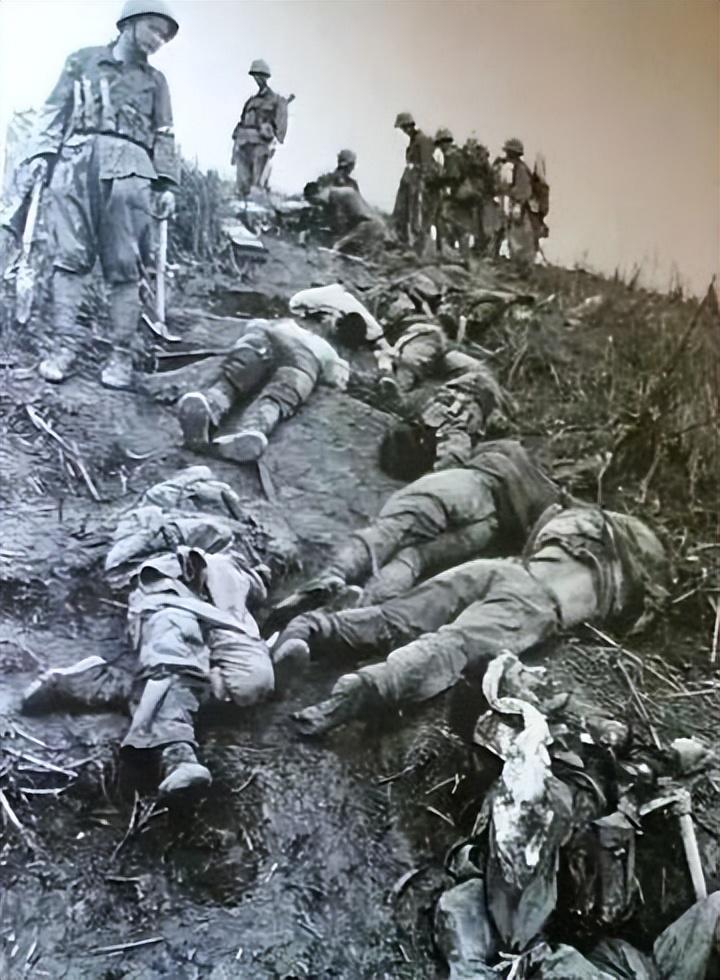 越南独立70周年大阅兵消息，展示国家力量与进步的壮丽画卷，越南独立70周年大阅兵，国家力量与进步壮丽展示