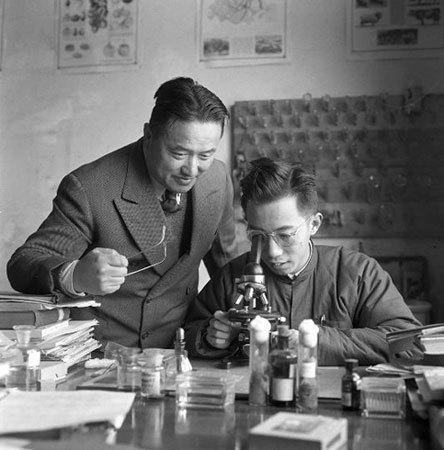 今天是什么词？探寻时代变迁下的关键词魅力，时代变迁下的关键词魅力探寻