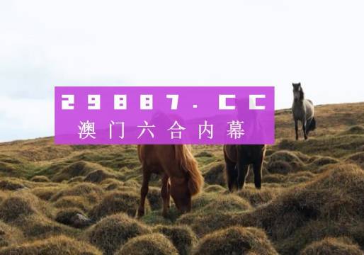 澳门最快开奖结果记录，探索与解析，澳门最快开奖结果记录解析与探索